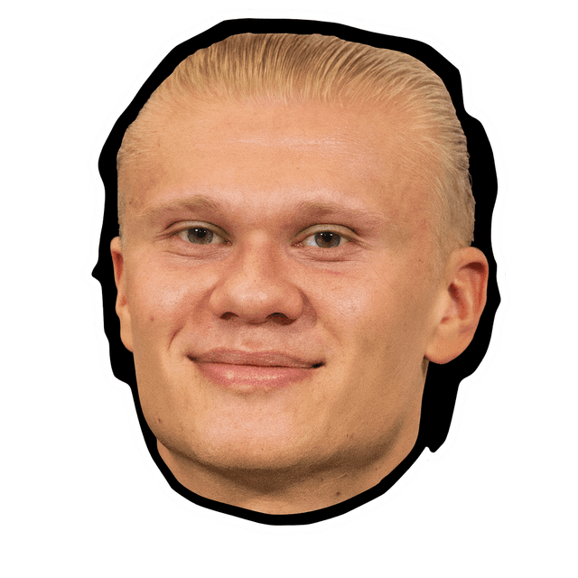 Erling Haaland celebration face swap